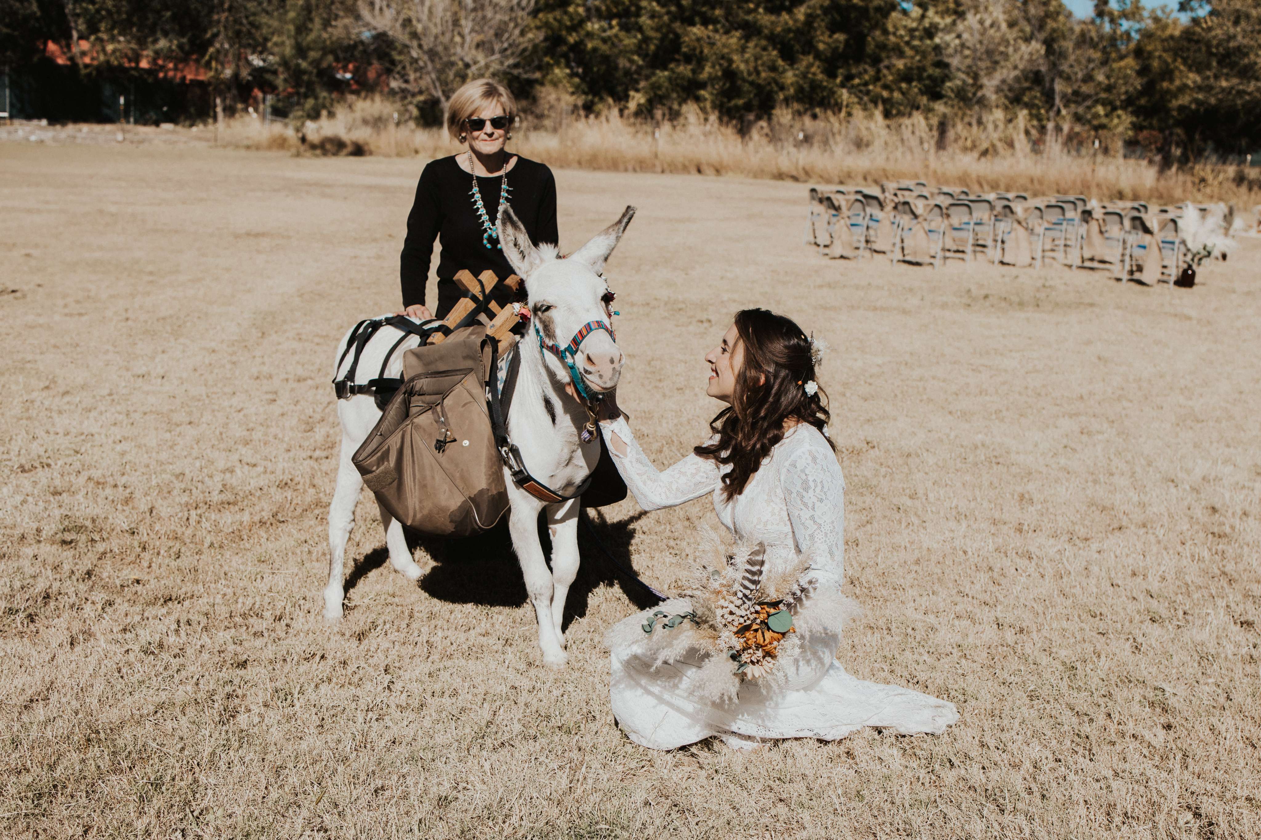 A woman sitting on the ground petting a horse