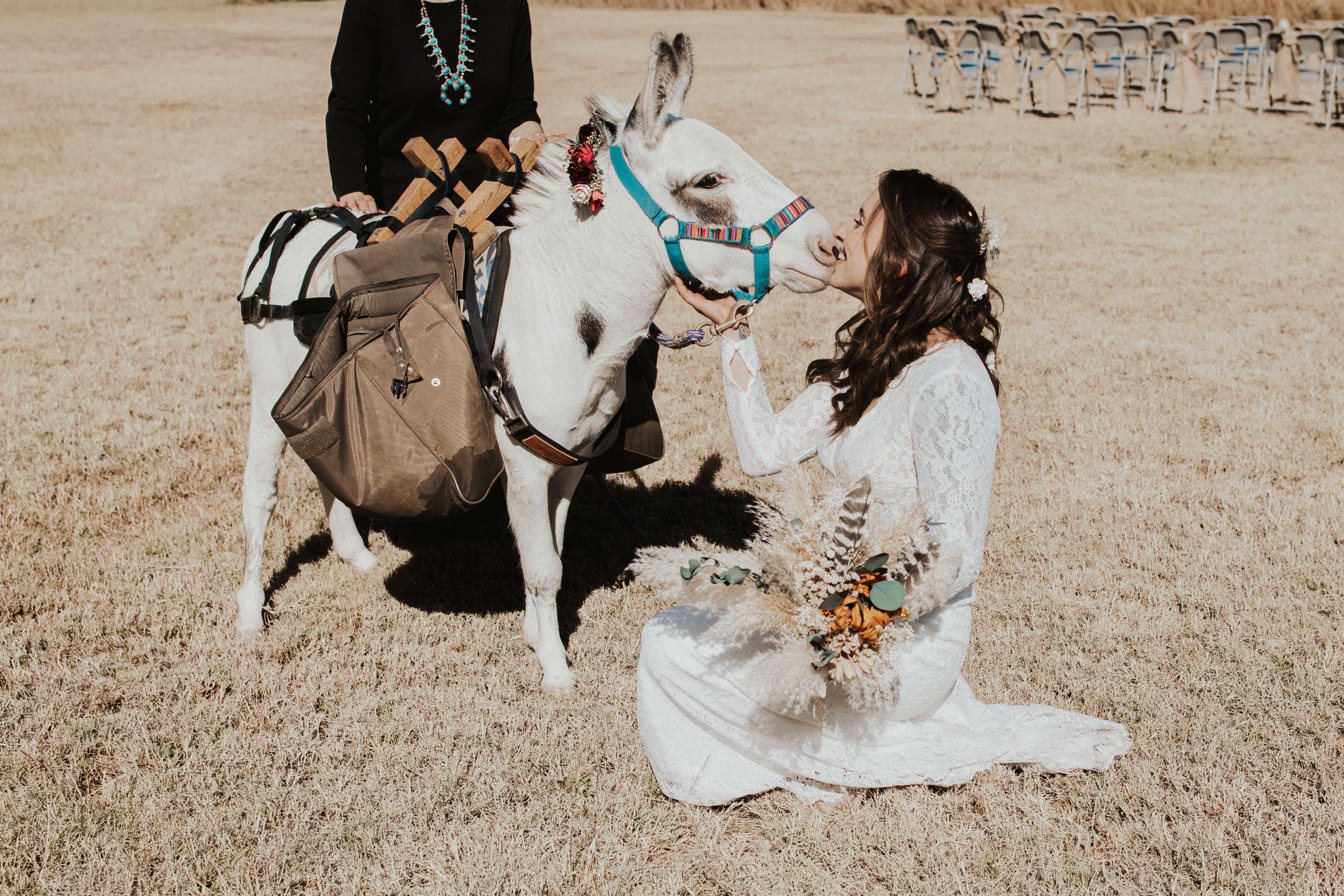 A woman kneeling down next to a white horse